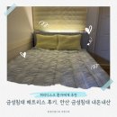 금성침대 | 금성침대 매트리스 후기, 안산 금성침대 내돈내산