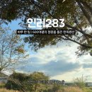 인리 283