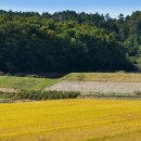 논산종합관광안내소 이미지