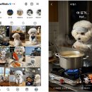 문라이트 이미지