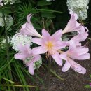 동방캠핑하우스 이미지