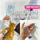 대디동물병원 | 고양이 피하수액 준비물, 비용, 위치, 놓는법, NS 0.9 수액