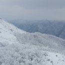 설화 이미지