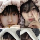 제이지 이미지