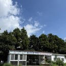 41190-01-07-214 | 엄마랑 제주3 (용눈이오름, 으뜨미, 친봉산장, 정바폭포, 제주도 올레시장, 카멜리아힐)