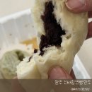 신바람 | 전주여행/ 전주 원주 신바람찐빵만두 내돈내산 후기