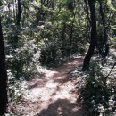 뻥튀기공원 이미지