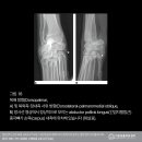 24시 리본동물영상센터 이미지