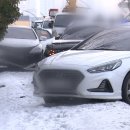 빛고을대로 이미지