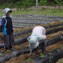 산골의하루 이미지