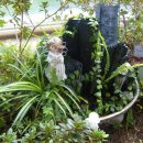 갈바리의원 이미지