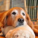 오늘도165 이미지