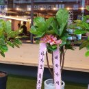 김형제고기의철학(하남점) 네이버블로그