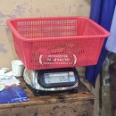 녹동항횟집 | 전남 고흥 녹동항맛집 회포장 수협활선어회센타 고흥...붉바리 꼭먹어야지!! 아이는 근처 돈까스포장후기