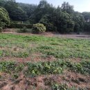 금영농장 이미지