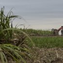 요동농장 이미지