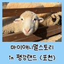 애니멀하우스 | 캠프다온 근처 아기랑 가기좋은 포천 평강랜드 마이애니멀스토리 동물먹이체험 후기!