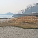 진월망덕포구 먹거리타운 이미지