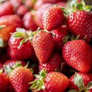 딸기 이미지