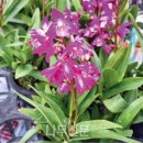 나무와창 이미지