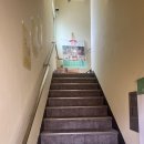 낮잠 | [포항 놀거리 추천] 고양이와 함께 쉴 수 있는 문화책방 낮잠 후기