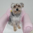 소답동225 이미지