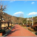 뿌리공원 이미지