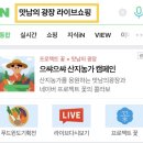 광장라이브 이미지