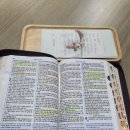 주식회사 헤세드 이미지