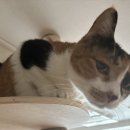 착한세상 이미지