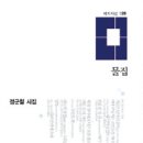 정군칠 시집 -『물집 』(애지, 2009) 이미지