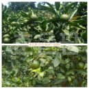 훈 농장 이미지