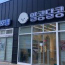알콩달콩 애견미용실 이미지