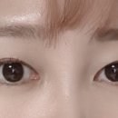 래쉬콩