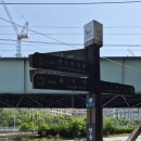 현충근린공원(흑석동_달마사입구) | 동작구 서달산 둘레길~ 도심에서 숲속걷기~