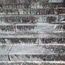 가사문학초등학교 이미지