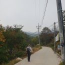 문경 대야산(聞慶 大耶山) 용추계곡(龍湫溪谷) 트레킹(Trekking) 후기 이미지