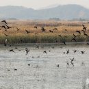 학성다목적체육관 이미지