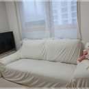 정통오케타니 - 안산시 단원구 광덕대로 206 | 정통오케타니