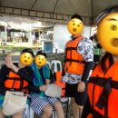 [보홀] 보홀 자유여행, 호핑투어 릴라(라일라) 고래상어 투어 후기!