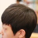 더 하우스 헤어