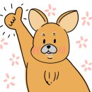 카페살뤼 이미지