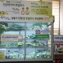 강동구청친환경로컬푸드무인판매대