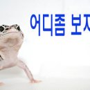 복많이 받으세요 ~** 이미지