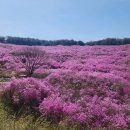 경남 창녕군 화왕산 이미지