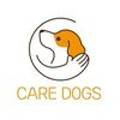 강아지 유치원 caredogs 이미지