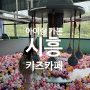 홈플러스시화점 | 시흥 아이랑 가본 키즈카페 리틀치프 시화점