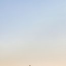 청포대휴야영장 이미지