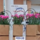 그린화원 - 계양구 효서로 133 | 그린화원