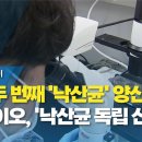 세계 두 번째 '낙산균' 양산 성공...K-바이오, '낙산균 독립 선언'! 이미지